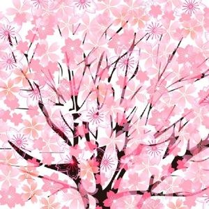 Meet your Posher, Libby